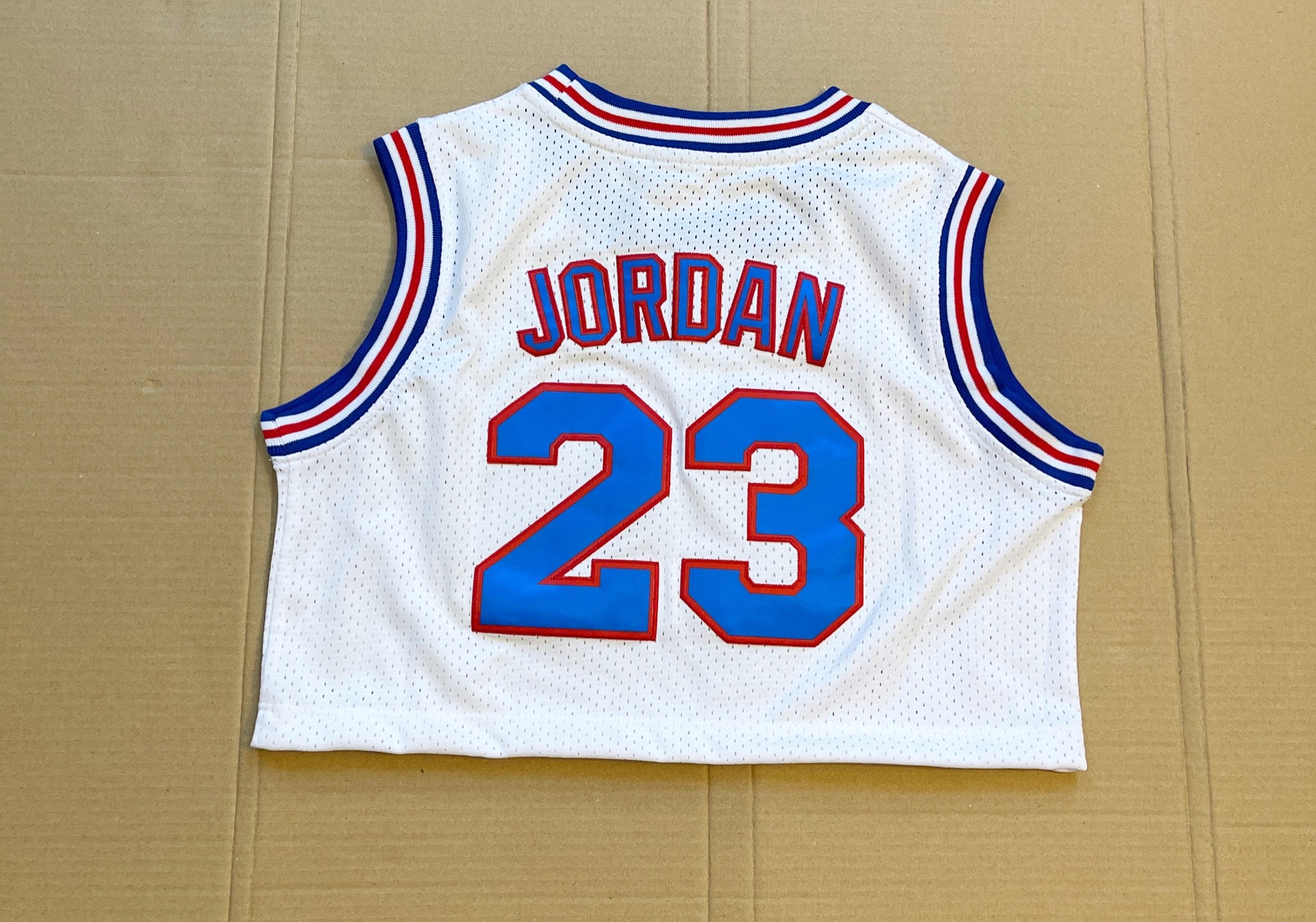 Lebron James Space Jam Jersey 