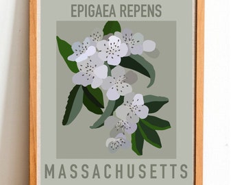 Massachusetts State Flower Print - Mayflower - DIGITAL PRINT