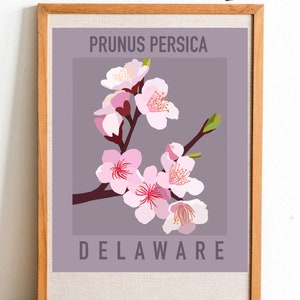 Delaware State Flower Print - Peach Blossom - DIGITAL PRINT