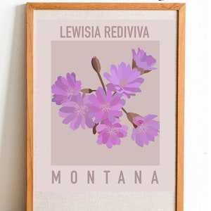 Puede incluir: Una impresión enmarcada con un fondo rosa claro que presenta un grupo de flores rosas con el texto "LEWISIA REDIVIVA" y "MONTANA" en blanco.