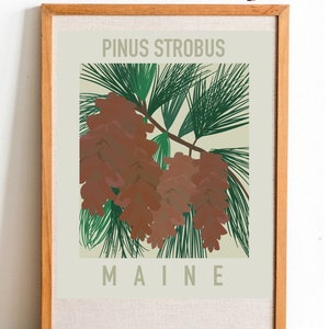 Maine State Flower Print - White Pine Cone - Tassel - DIGITAL PRINT