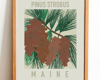 Maine State Flower Print - White Pine Cone - Tassel - DIGITAL PRINT