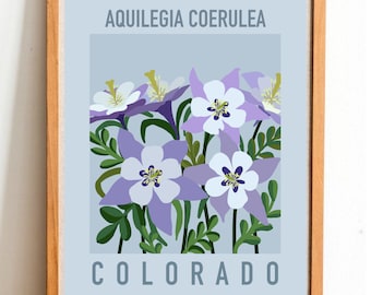 Colorado State Flower Print - Rocky Mountain Columbine - DIGITAL PRINT