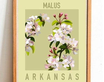 Arkansas State Flower Apple Blossom Art Digital Download, USA Geography ...