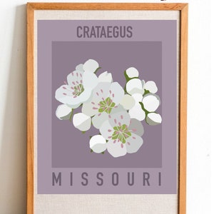 Missouri State Flower Print - Hawthorn - DIGITAL PRINT