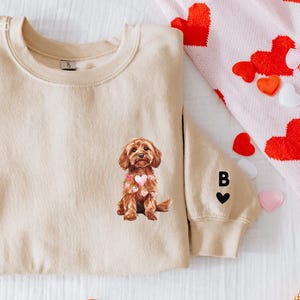 May include: A beige sweatshirt with a dog graphic and a heart on the chest. The left sleeve has a black heart and the letter "B". The image is surrounded by heart-shaped decorations and a pink radio.