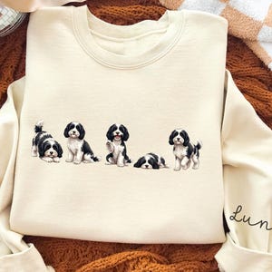 May include: Cream-colored sweatshirt featuring five Cavalier King Charles Spaniel illustrations in various poses. The dogs are black and white. The sleeve has the name "Luna" in script. The sweatshirt is on a brown knitted surface.