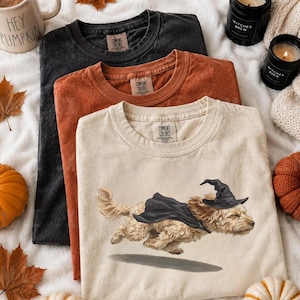 Puede incluir: Tres camisetas de cuello redondo en negro, naranja quemado y crema. La camiseta crema presenta un gráfico de un perro marrón claro con un sombrero de bruja y una capa negra, que parece volar. Cada camiseta tiene una etiqueta de Comfort Colors.