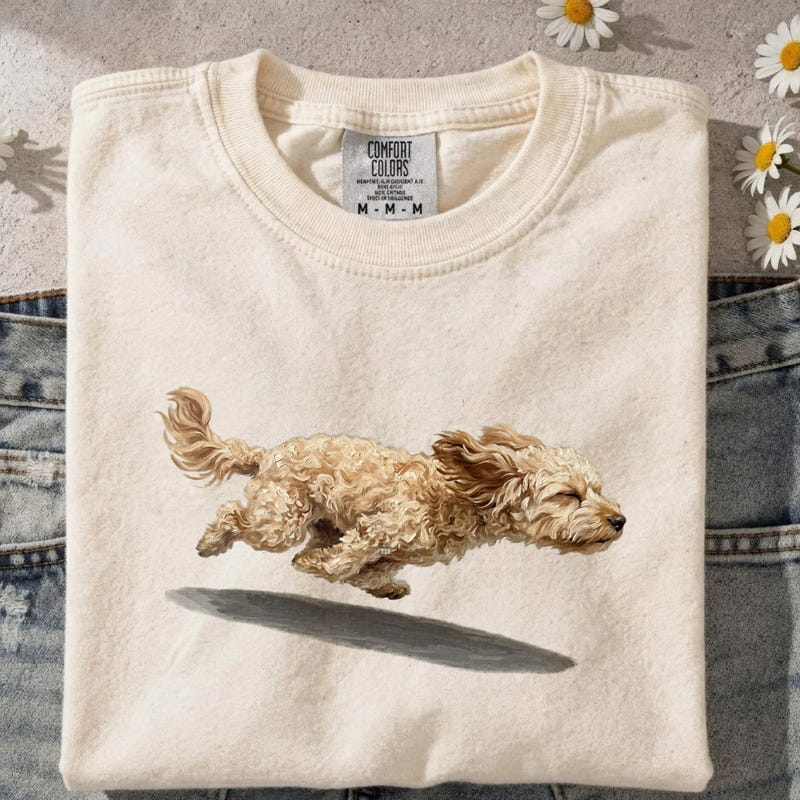 Blonde Cavapoo - Etsy New Zealand
