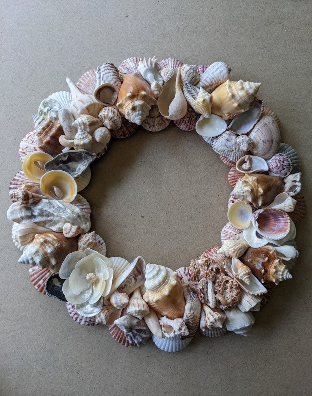 Medium Shell Wreath - Etsy