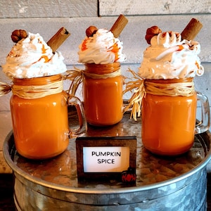 Mini Faux Pumpkin ShakeMini Fake Coffee for TierPumpkin Spice LattePSLAutumnFall,Pumpkin Spice Season,Frappuccino,Faux Ice Cream,Coffee