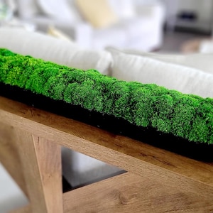 May include: A long, narrow, black rectangular trough filled with vibrant, textured green preserved moss. The moss is densely packed, creating a continuous, rounded, and elevated surface that spans the entire length of the black container.