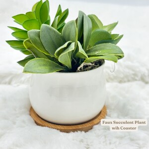 May include: A faux succulent plant with green leaves in a white ceramic pot, resting on a round, light brown bamboo coaster. The text "Faux Succulent Plant with Coaster" is visible.
