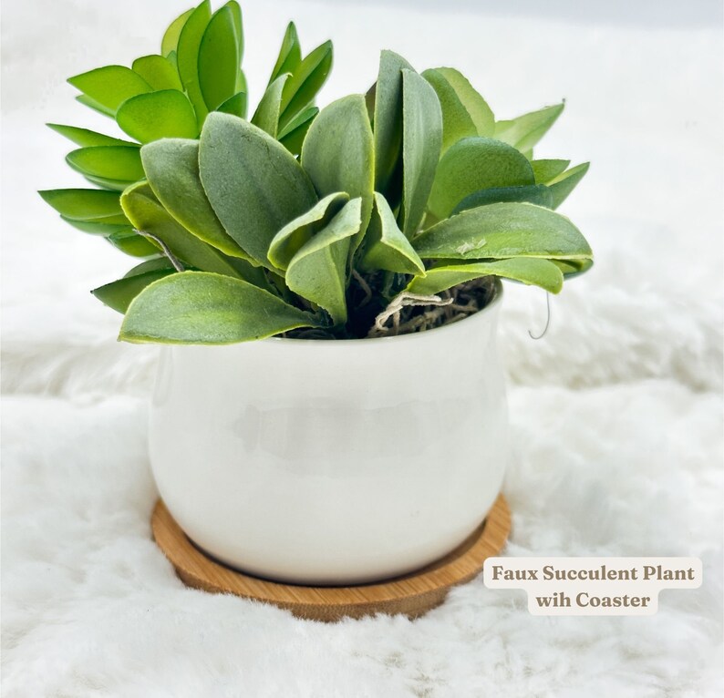 May include: A faux succulent plant with green leaves in a white ceramic pot, resting on a round, light brown bamboo coaster. The text "Faux Succulent Plant with Coaster" is visible.
