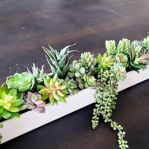 以下が含まれることがあります： 白いプランターボックスに、さまざまな緑色の多肉植物が植えられています。プランターは長く、長方形で、暗い木製の表面の上に置かれています。