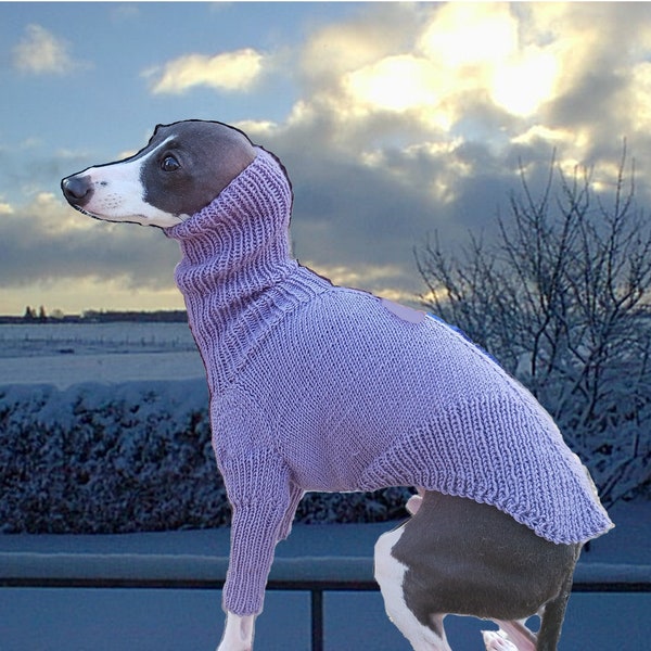 Italian Greyhound Sweater Knitting Pattern