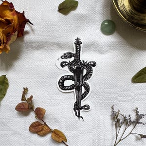 Pode incluir: Um autocolante a preto e branco com uma espada com uma pega ornamentada, enrolada por uma serpente. O autocolante está sobre um fundo branco, com flores secas e folhas espalhadas.