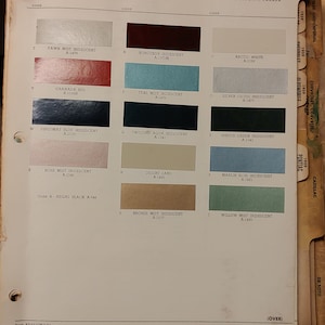 Rinshed-Mason RM Automotive Colors 1963 Buick Chips Samples