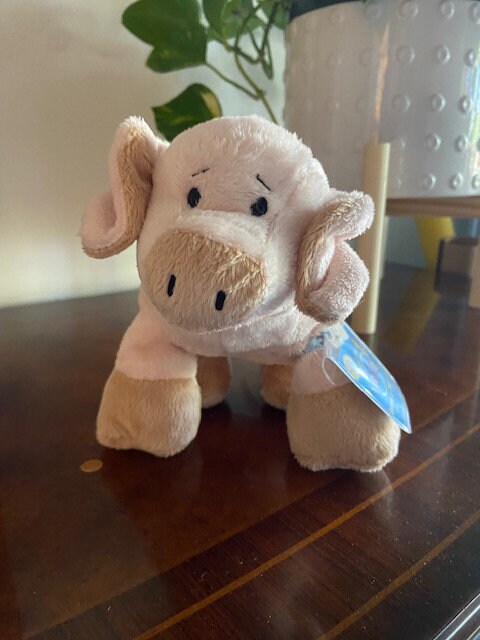 Webkinz Floppy Pig Retired Etsy