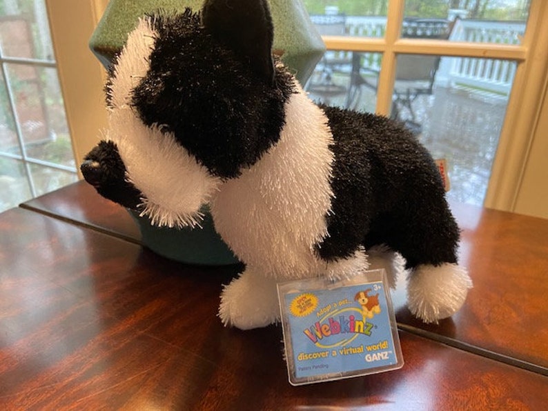 webkinz boston terrier