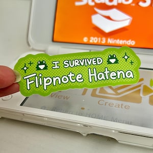 May include: A green sticker with the text "I SURVIVED Flipnote Hatena" is held in front of a Nintendo 3DS. The 3DS screen displays the Flipnote Studio 3D logo and the year 2013. The sticker has a pixelated frog graphic.