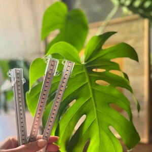 May include: Three slender, rectangular LED grow light strips with clear plastic casings and integrated small suction cups at the top ends. Each strip features a linear array of small, warm-toned yellow light-emitting diodes arranged vertically.