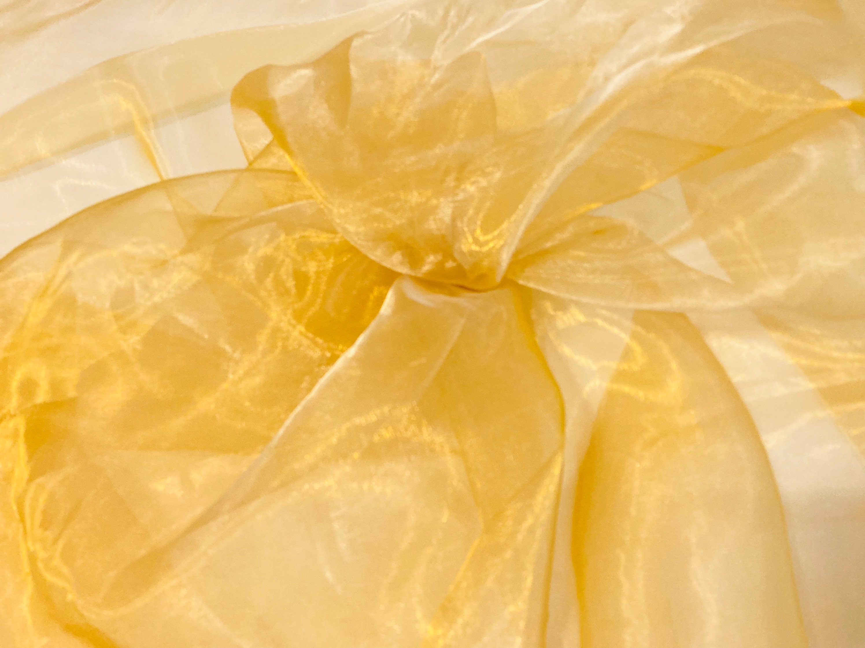 Iridescent Pearl Organza Fabric - Sheer Kelly Green Nylon 59/60 By The Yard