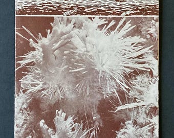 Vintage 1960s Skyline Caverns Virginia Tourist Brochure Front Royal VA