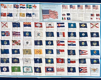 Affiche illustrée des drapeaux américains de 1963 - Décoration murale - Drapeaux des États - Fabriqué aux États-Unis