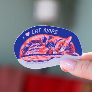 May include: A blue sticker with the text "I ❤️ CAT NAPS" and a sleeping cat illustration in orange and pink. The sticker has a white border and the text "LITTLE KNOWING GOODS" at the bottom.