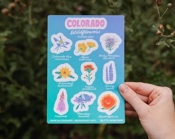 May include: A sticker sheet featuring colorful illustrations of Colorado wildflowers, including Colorado blue columbine, alpine buttercup, and Rocky Mountain bee plant. The sheet has a gradient blue and green background with the text "COLORADO Wildflowers STICKER SHEET".