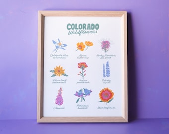 Colorado Wildflowers Print