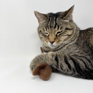 K&ouml;nnte beinhalten: Eine getigerte Katze mit geschlossenen Augen legt ihre Pfote auf ein kleines, braunes Filzspielzeug in Form eines Hundes. Die Katze hat braun-schwarz gestreiftes Fell. Das Spielzeug hat schwarze Perlenaugen und eine kleine Nase.
