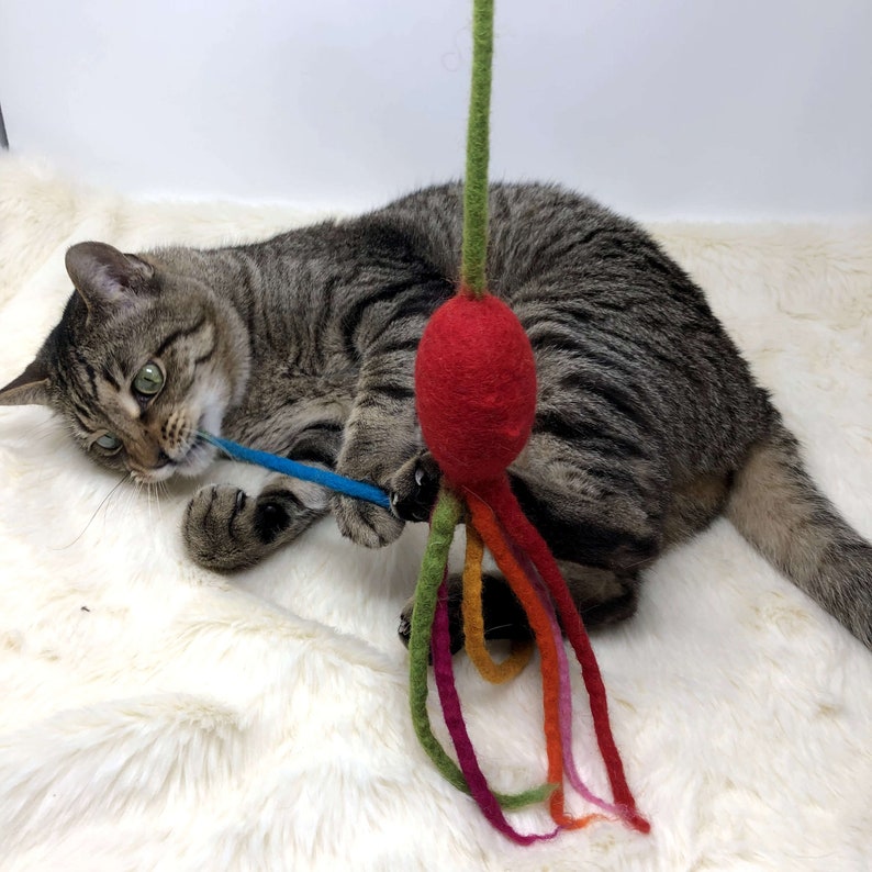 May include: A tabby cat plays with a handmade cat toy. The toy features a red felt ball with colorful felt tentacles and a green stem. The cat is lying on a white, fluffy surface, focused on the blue felt string.