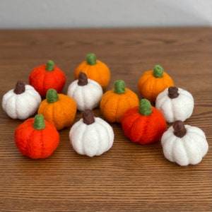 Wool Felt Pumpkins: Fall Thanksgiving Decor, Craft Project (12 pieces)