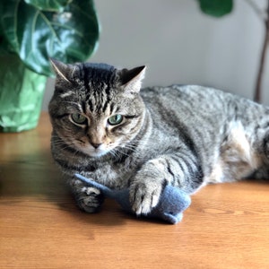 K&ouml;nnte beinhalten: Eine getigerte Katze mit gr&uuml;nen Augen liegt auf einer Holzoberfl&auml;che und h&auml;lt ein kleines blaues Spielzeug. Das Fell der Katze ist eine Mischung aus braunen und grauen Streifen. Im Hintergrund ist eine gr&uuml;ne Pflanze zu sehen.