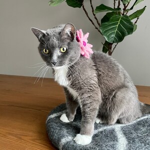 Removable Pet Collar Accessory/ Dog Collar Flower/ Cat Collar Flower/ Daisy Flower Collar Accessory/ Wool Felt Dog Collar Flower Attachment