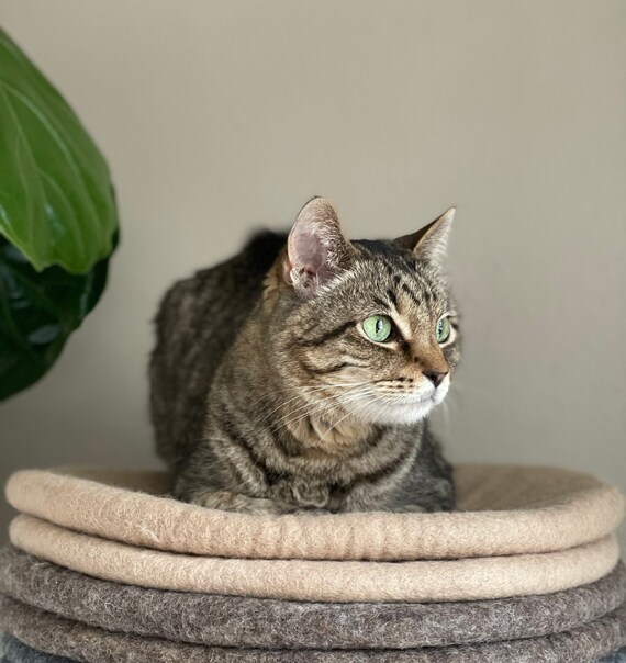 Cat Cave Cat Bed Handmade 100 New Zealand Wool Cat Cave Wool