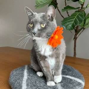 May include: A gray and white cat wearing an orange felt flower around its neck. The cat is sitting on a gray and white patterned surface.
