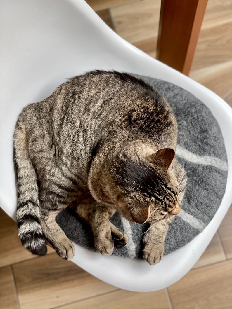 May include: A tabby cat is curled up on a gray and white patterned cat bed. The bed is on a white chair.