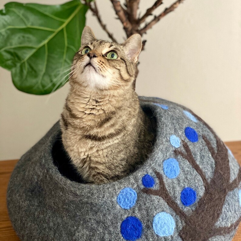 May include: A tabby cat with green eyes sits in a gray felt cat bed with a brown tree and blue circles design.