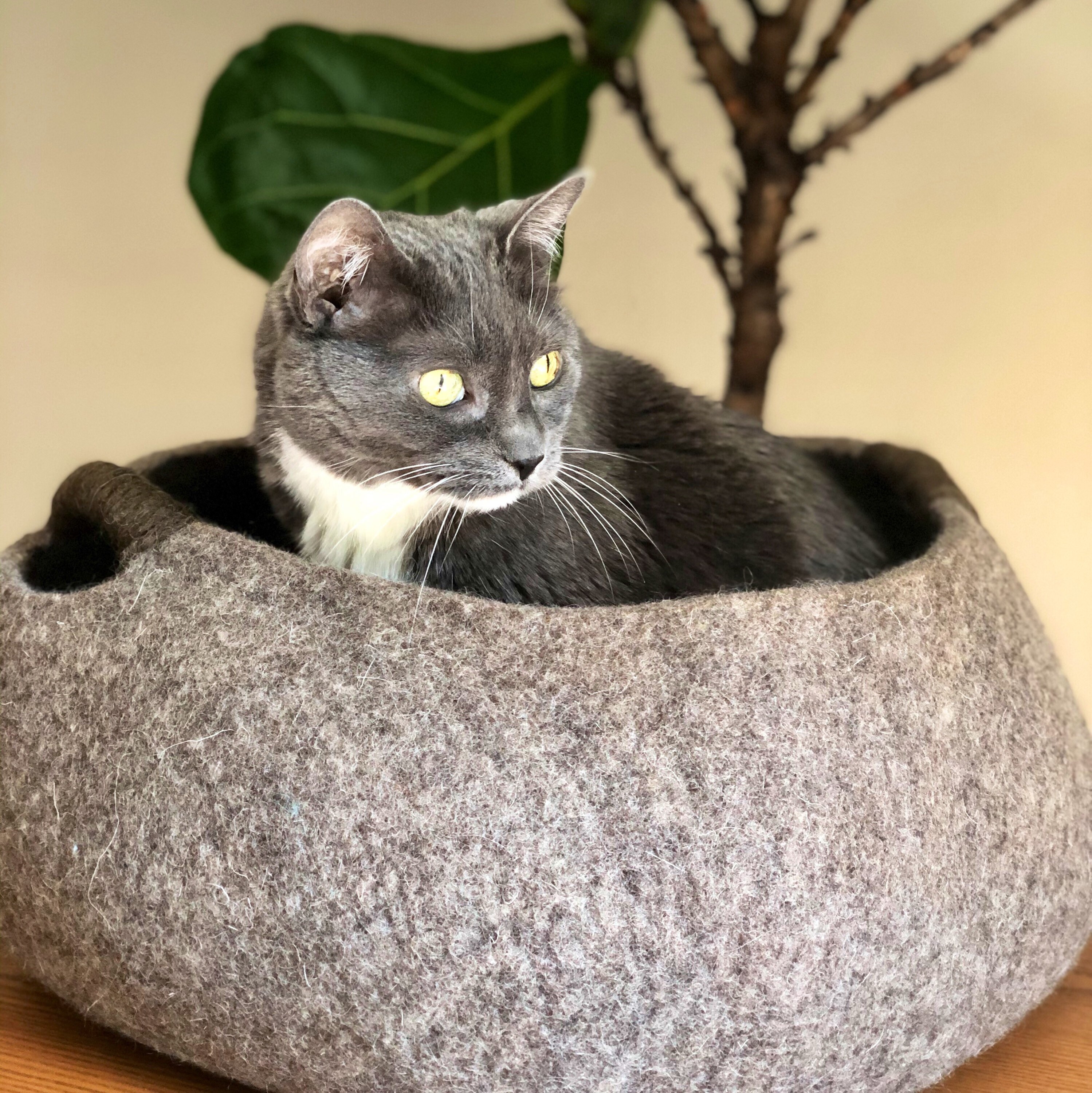 Large Wool Cat Basket/ Cat Bed / Felt Cat Basket/ Large Cat Etsy