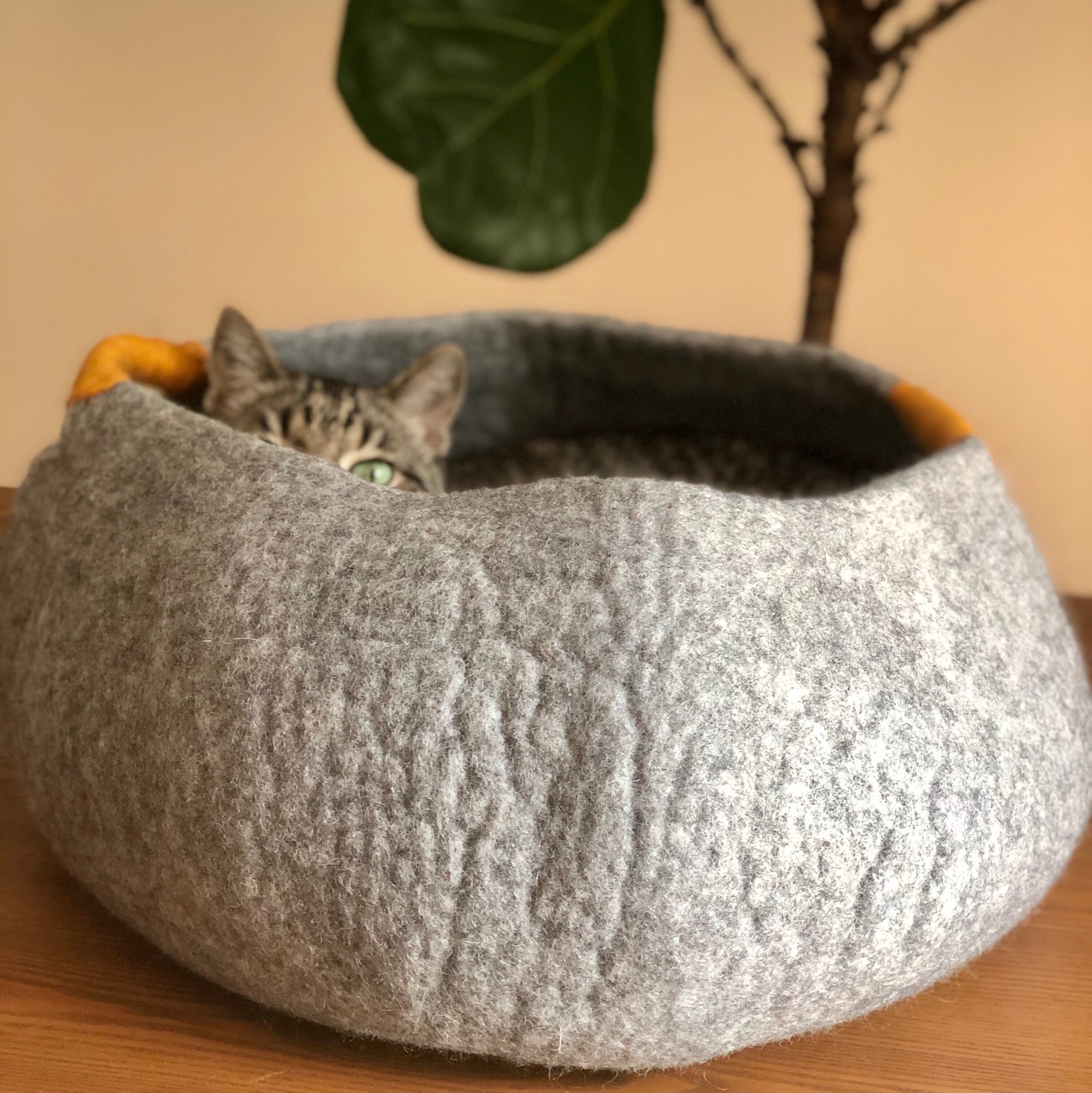 Dog Bed/ Puppy Bed Basket/ Wool Cat Basket/ Extra Large Cat Etsy