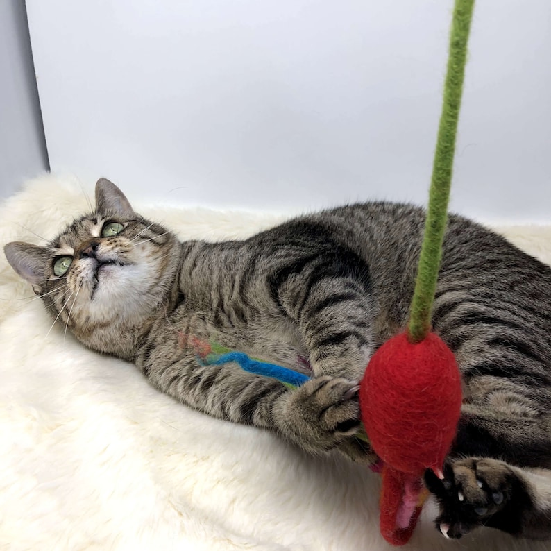 May include: A tabby cat with green eyes is lying on a white, fluffy surface, looking upwards. The cat is playing with a red felt toy with a green stem. The toy is shaped like a flower.