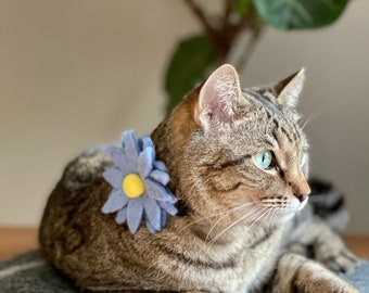 Removable Pet Collar Accessory/ Dog Collar Flower/ Cat Collar Flower/ Daisy Flower Collar Accessory/ Wool Felt Dog Collar Flower Attachment