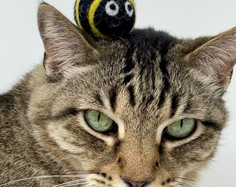 Wolle Katzen Spielzeug Interaktive Wolle Kätzchen Spielzeug