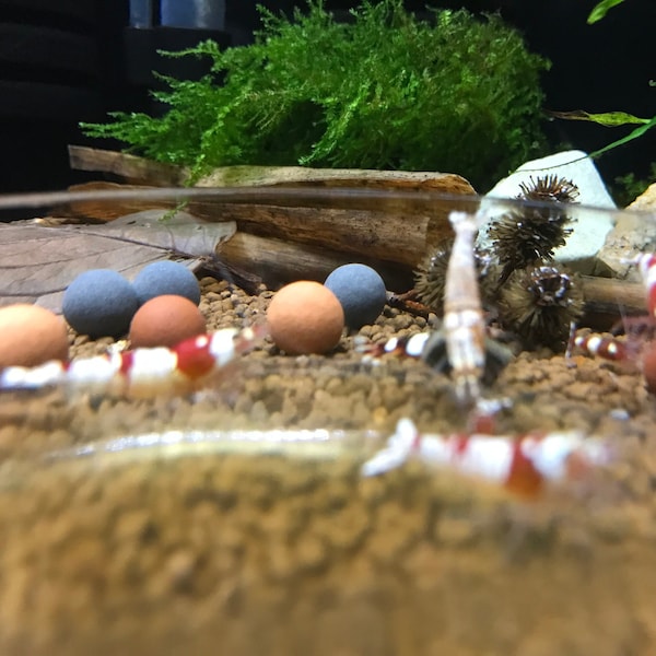 Tourmaline Mineral Balls + Red Bee Balls + Muyu Stones - 10MM Shrimp Supplement Invertebrates Aquarium Fish Tank , Free Shipping