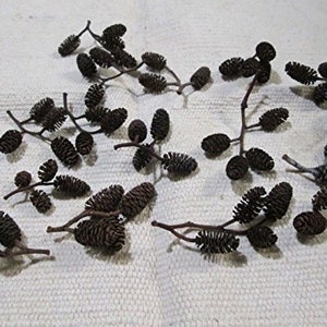 May include: A collection of small, dark brown alder cones on slender, twig-like stems. The cones are clustered in groups, with a textured, scale-like appearance. The stems are a lighter brown, and the background is a textured, off-white fabric.