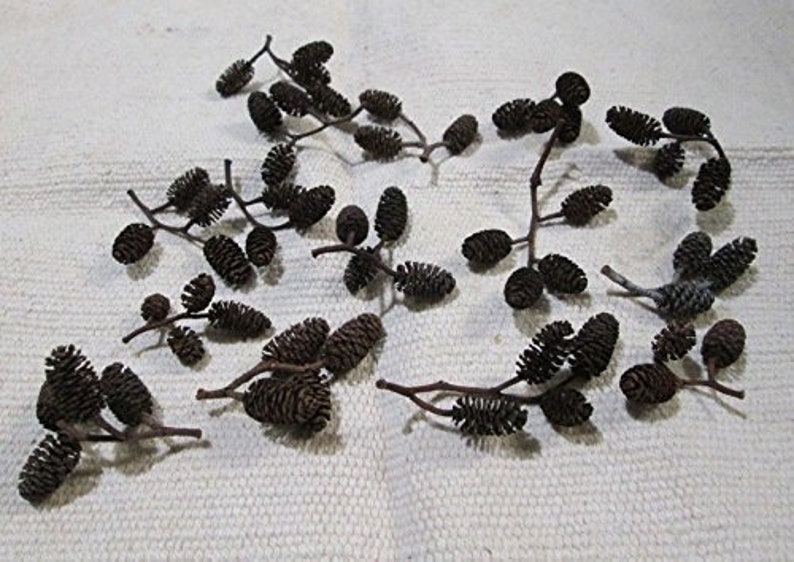 May include: A collection of small, dark brown alder cones on slender, twig-like stems. The cones are clustered in groups, with a textured, scale-like appearance. The stems are a lighter brown, and the background is a textured, off-white fabric.