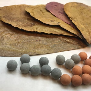 May include: A pile of dried brown leaves with a purple leaf on top. There are two groups of small round balls, one group is gray and the other is brown.